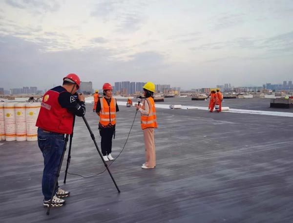 图三.jpeg 图三.jpeg