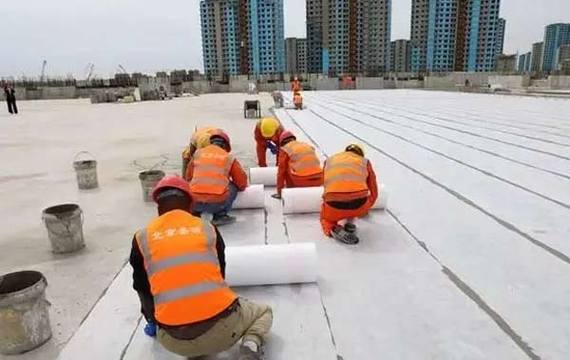 图五.jpeg 图五.jpeg