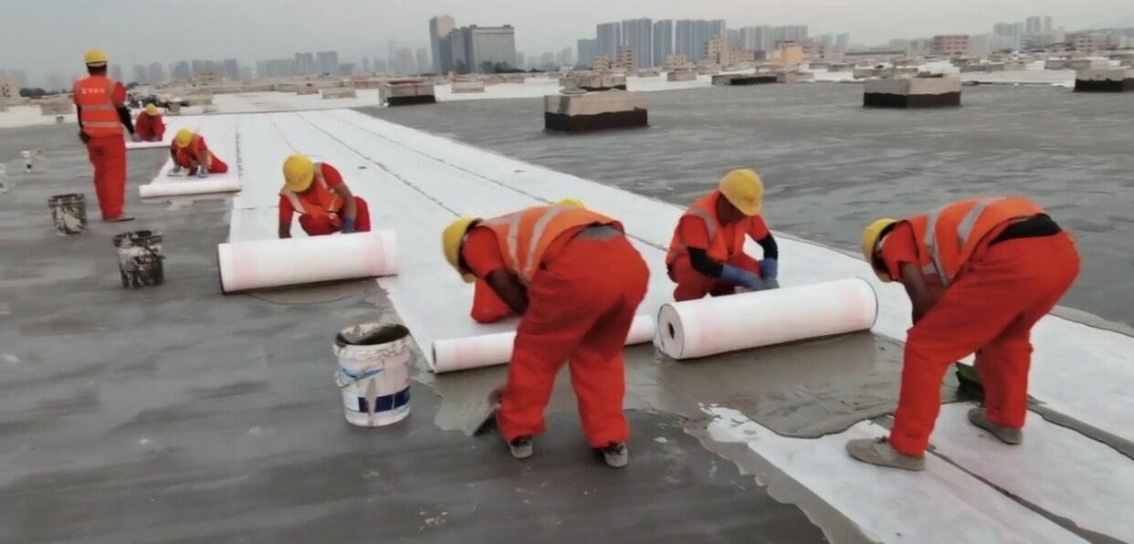 图四.jpeg 图四.jpeg