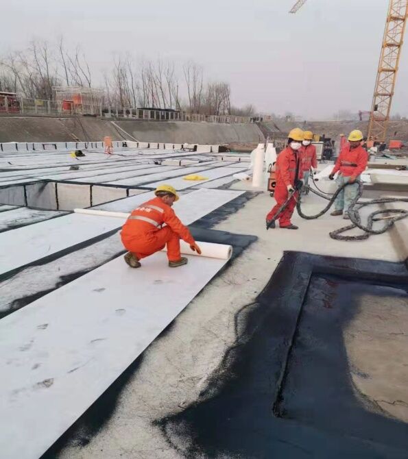 图九.jpeg 图九.jpeg